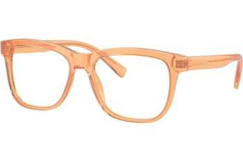 Brýle Dolce & Gabbana DX3356 3442 Squared Oranžové