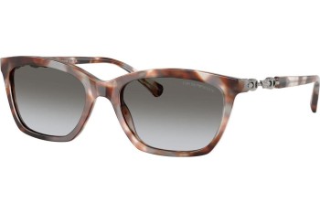 Sluneční brýle Emporio Armani EA4238 61953C Squared Havana