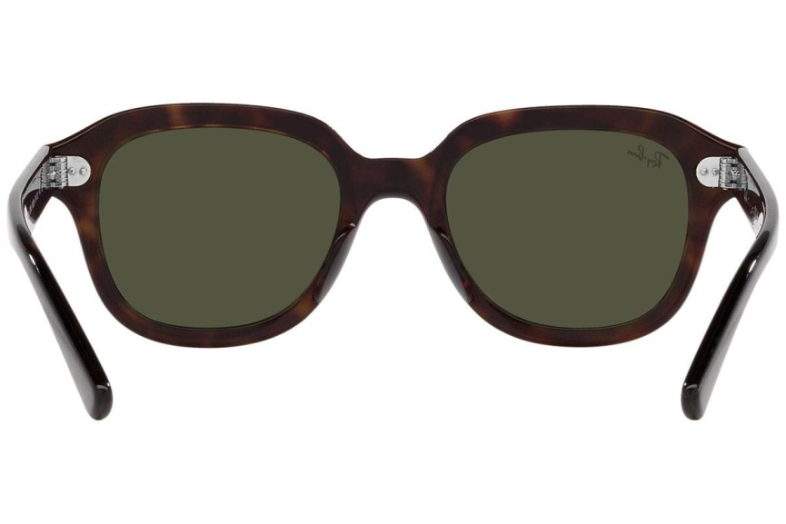 Sluneční brýle Ray-Ban Erik RB4398 902/31 Squared Havana