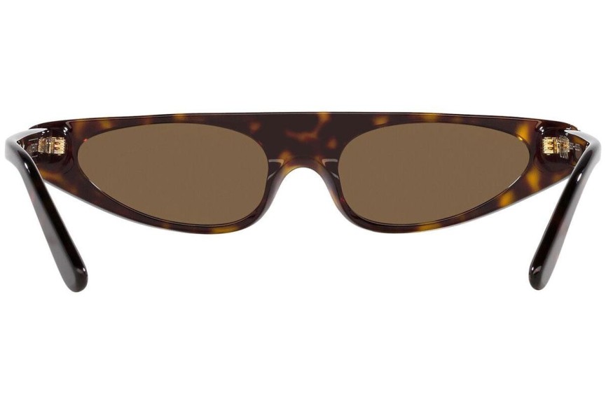 Sluneční brýle Dolce & Gabbana DG4442 502/73 Obdélníkové Havana