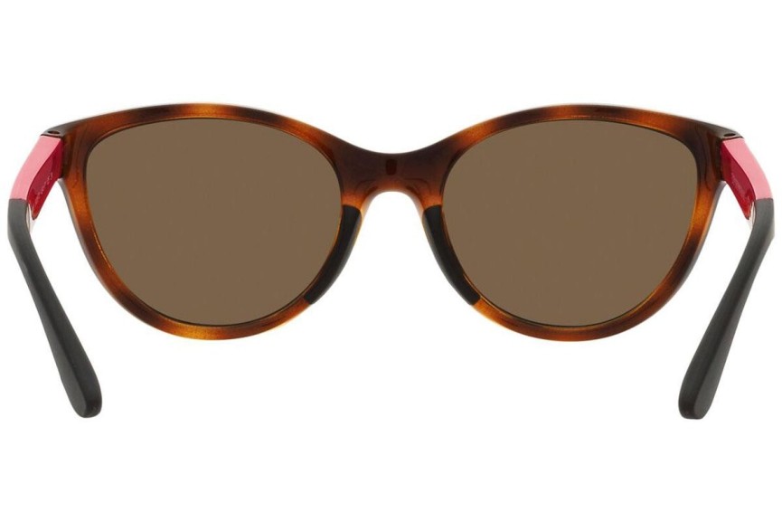 Sluneční brýle Emporio Armani EK4003 502673 Cat Eye Havana