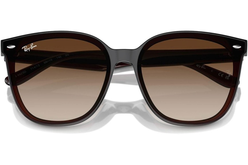 Sluneční brýle Ray-Ban RB4423D 714/13 Obdélníkové Hnědé