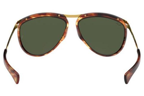 Sluneční brýle Ray-Ban Olympian Aviator RB2219 954/31 Pilot Havana