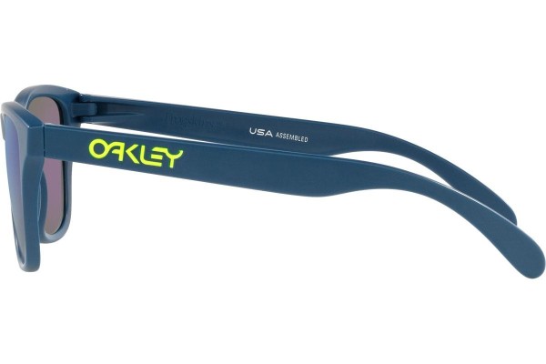 Oakley Frogskins XS OJ9006-32