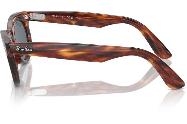 Sluneční brýle Ray-Ban RB2242 954/3R Polarized Browline Havana