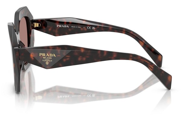 Sluneční brýle Prada PR16WS 17N60B Speciální Havana