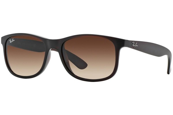 Levně Ray-Ban Andy RB4202 607313 - ONE SIZE (55)
