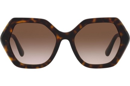 Sluneční brýle Dolce & Gabbana DG4406 502/13 Squared Havana