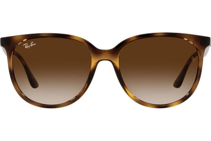 Sluneční brýle Ray-Ban RB4378 710/13 Squared Havana