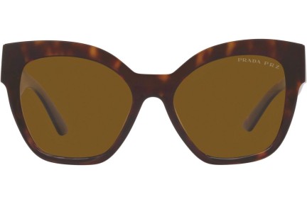 Sluneční brýle Prada PR17ZS 2AU5Y1 Polarized Squared Havana