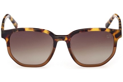 Sluneční brýle Timberland TB9305-H 53H Polarized Okrouhlé Havana