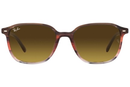 Ray-Ban Leonard RB2193 138085