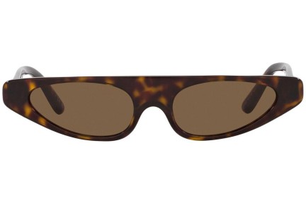 Sluneční brýle Dolce & Gabbana DG4442 502/73 Obdélníkové Havana