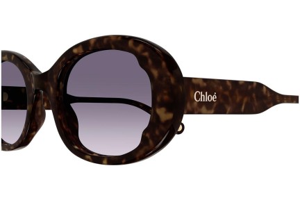 Sluneční brýle Chloe CH0197S 002 Oválné Havana