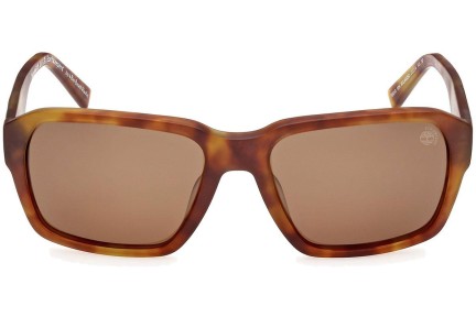 Timberland TB9343 53H Polarized