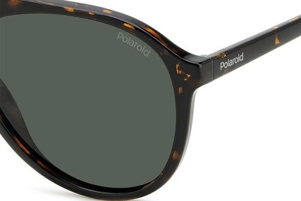 Sluneční brýle Polaroid PLD4162/S 086/UC Polarized Pilot Havana