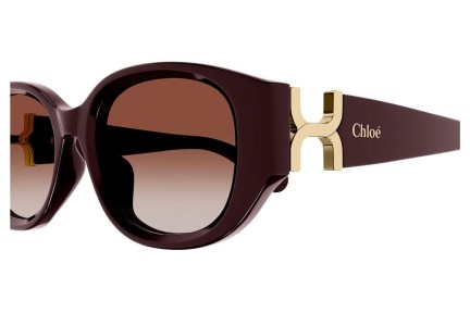 Chloe CH0237SK 003