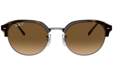 Sluneční brýle Ray-Ban RB4429 710/M2 Polarized Oválné Havana