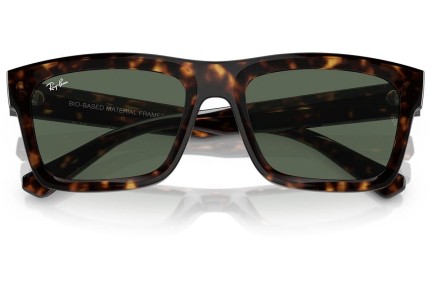 Ray-Ban Warren RB4396 135971