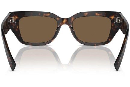 Sluneční brýle Dolce & Gabbana DG4462 502/73 Cat Eye Havana