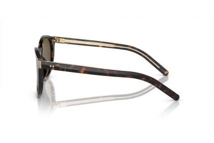 Sluneční brýle Giorgio Armani AR8199U 587973 Okrouhlé Havana