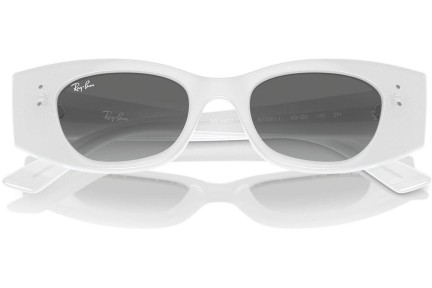 Ray-Ban RB4427 675911