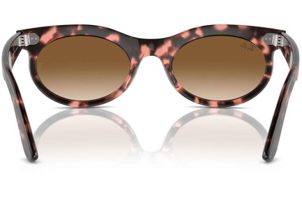 Sluneční brýle Ray-Ban RB2242 133451 Browline Havana