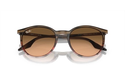 Sluneční brýle Ray-Ban RB2204 13953B Okrouhlé Hnědé