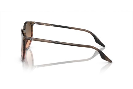 Sluneční brýle Ray-Ban RB2204 13953B Okrouhlé Hnědé