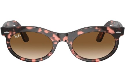 Sluneční brýle Ray-Ban RB2242 133451 Browline Havana