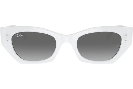 Ray-Ban RB4430 675911