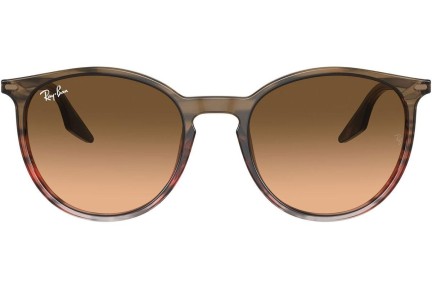 Sluneční brýle Ray-Ban RB2204 13953B Okrouhlé Hnědé