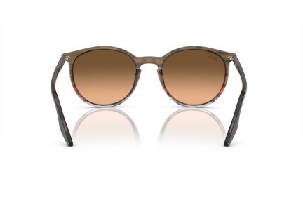 Sluneční brýle Ray-Ban RB2204 13953B Okrouhlé Hnědé