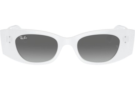 Ray-Ban RB4427 675911