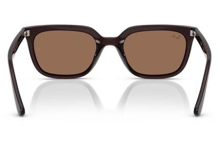 Sluneční brýle Ray-Ban RB4439D 623173 Squared Hnědé