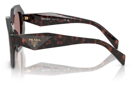 Sluneční brýle Prada PR16WS 17N60B Speciální Havana