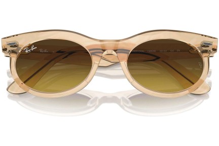 Sluneční brýle Ray-Ban RB2242 138685 Browline Hnědé