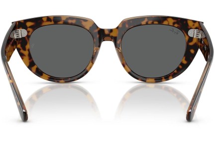 Sluneční brýle Ray-Ban RB2286 1292B1 Squared Havana