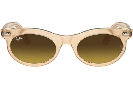 Sluneční brýle Ray-Ban RB2242 138685 Browline Hnědé