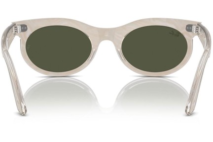 Sluneční brýle Ray-Ban RB2242 138331 Browline Šedé