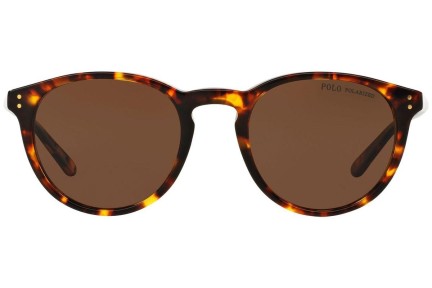 Sluneční brýle Polo Ralph Lauren PH4110 513483 Polarized Okrouhlé Havana