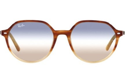 Sluneční brýle Ray-Ban Thalia RB2195 1328GD Okrouhlé Havana