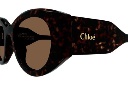 Sluneční brýle Chloe CH0251S 002 Okrouhlé Havana