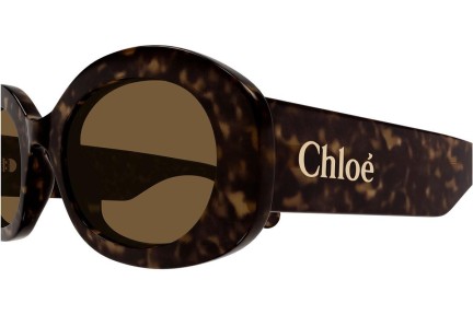 Sluneční brýle Chloe CH0258S 002 Oválné Havana