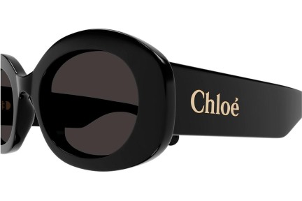 Sluneční brýle Chloe CH0258S 001 Oválné Černé