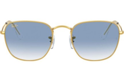Ray-Ban Frank RB3857 91963F