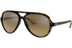 Sluneční brýle Ray-Ban RB4125M F6093K Pilot Havana