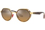 Sluneční brýle Ray-Ban RB3703M F076A2 Polarized Speciální Havana