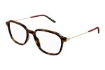 Brýle Gucci GG1576O 002 Squared Havana