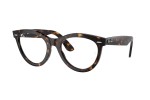 Ray-Ban RX2241V 2012